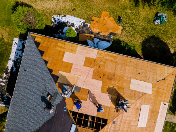 Best Roof Gutter Cleaning  in Tarboro, NC